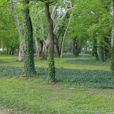 Nelli Apartman Апартаменты *