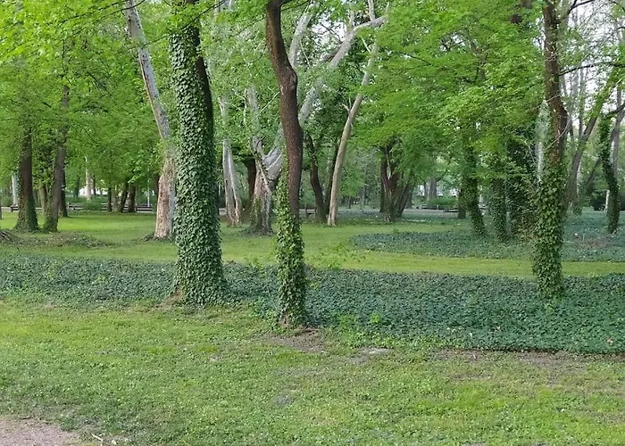 Nelli Apartman Apartmán *